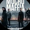 morconaffia