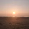 meredith_backup