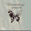 hana.sayed273