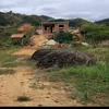 ederlucas892