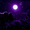 darkladymoon