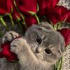 l0ve.2.2