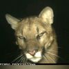 leonelfzx