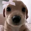 kiara_12_7