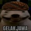 zeefzi_aja