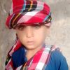 bijar698