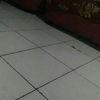 zam.ain0