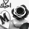 gsh.shshd