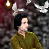 usmankhan59655