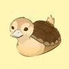happyturtleduck