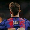 gavi7904