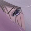 raraa_0220