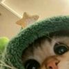 whyykia