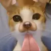 _hoangvy.05