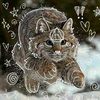 fusion_on_pawzz