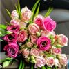 rose.pink316