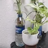 saraarbtwyl