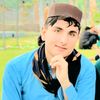muhammad.mustafa583