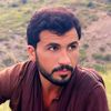 sayed.arif61