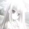 qiws52
