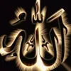 akram.chalat5