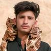 yousefmhassni