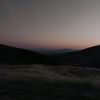 quin_0093