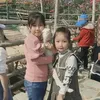 trang.thanh.trang44