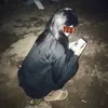 huynchuu8