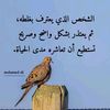 user4524473296859
