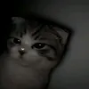 shut_uphejdns