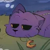 midcatnigth