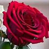 z.mughal070