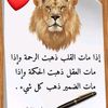 aseel.as35