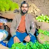 zeeshanalizeeshan2838
