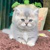 _jerry0110
