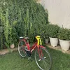 salim.surchy1