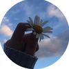 itscamii_star