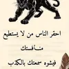 user8663595124760