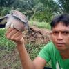 rahmedy.rahmadhan