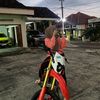 cinta
