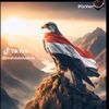 yemen1030