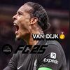 vandijk_116