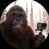 bigfootflogs67