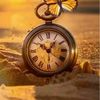 ammar.abdalwhab6