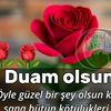 btn.gzel.dualarm