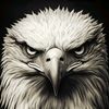 user66021603561052