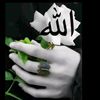 halisim80