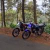 yadii.muhamad2