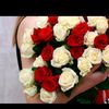 gulya_gul_001
